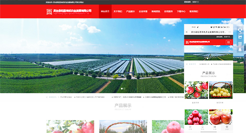 企業(yè)網(wǎng)站、程序軟件App解決方案